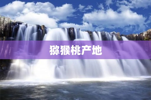 猕猴桃产地:哪些地方是猕猴桃的主要产地? 猕猴桃产地:哪些地方是猕猴桃的主要产地?