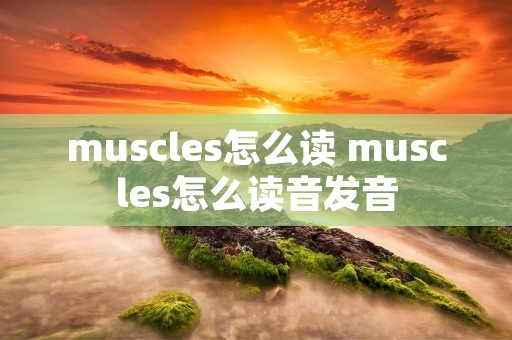 muscles怎么读 muscles怎么读音发音