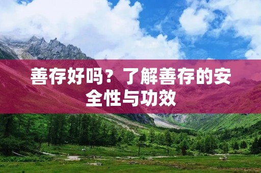 善存好吗?了解善存的安全性与功效 善存好吗?了解善存的安全性与功效