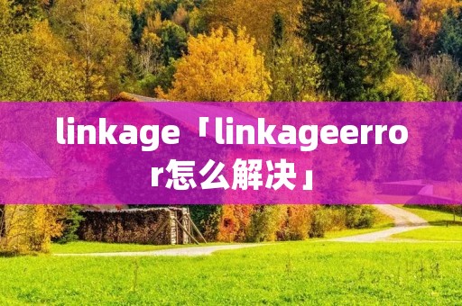 linkage「linkageerror怎么解决」