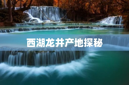 西湖龙井产地探秘：品味中国绿茶的精髓
