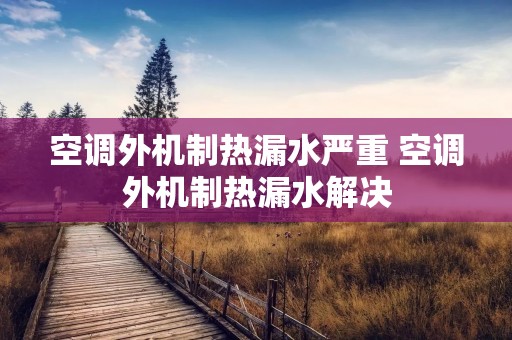空调外机制热漏水严重 空调外机制热漏水解决
