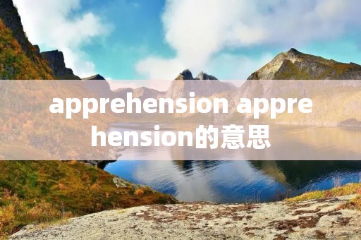 apprehension apprehension的意思