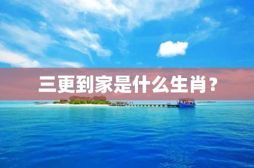 三更到家是什么生肖？