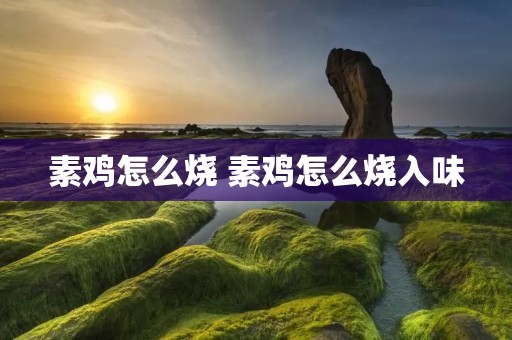 素鸡怎么烧 素鸡怎么烧入味