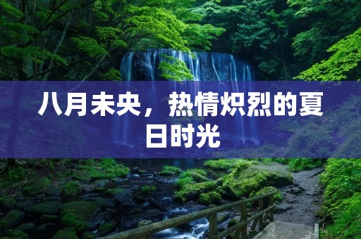 八月未央，热情炽烈的夏日时光