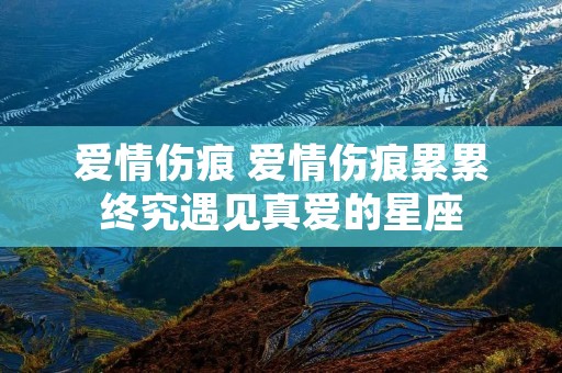 爱情伤痕 爱情伤痕累累终究遇见真爱的星座 爱情伤痕 爱情伤痕累累终究遇见真爱的星座