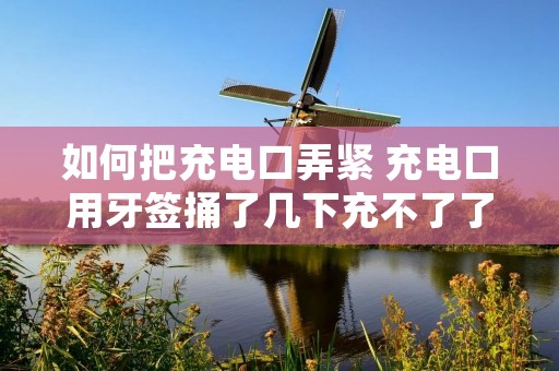 如何把充电口弄紧 充电口用牙签捅了几下充不了了