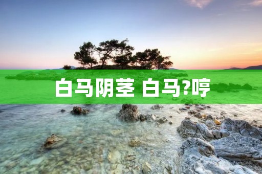白马** 白马?哼