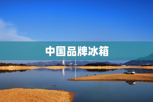 中国品牌冰箱：领跑全球制冷行业的新宠儿