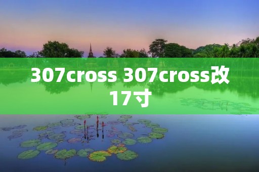307cross 307cross改17寸 307cross 307cross改17寸
