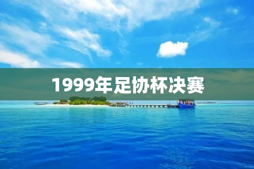 1999年足协杯决赛:上海申花夺冠 1999年足协杯决赛:上海申花夺冠
