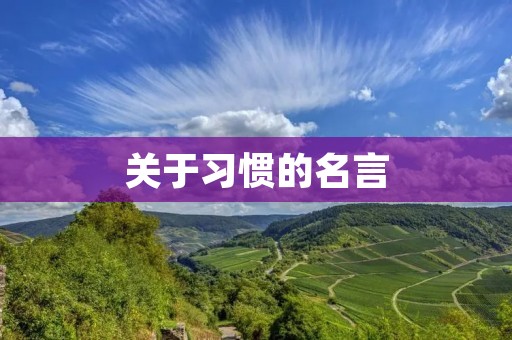 关于习惯的名言