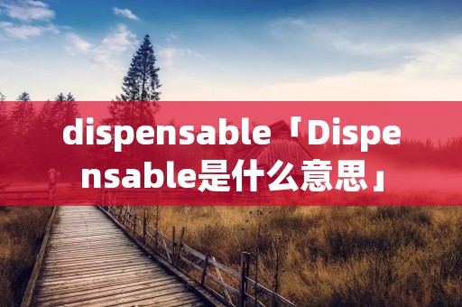 dispensable「Dispensable是什么意思」