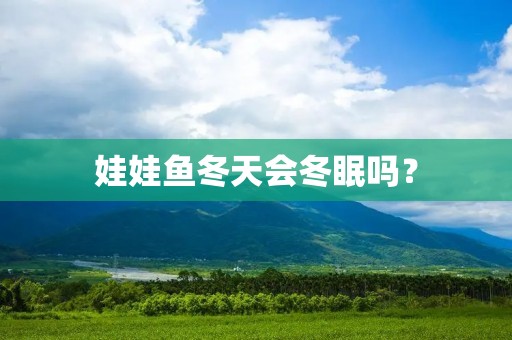 娃娃鱼冬天会冬眠吗？