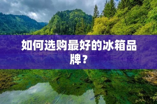如何选购最好的冰箱品牌? 如何选购最好的冰箱品牌?