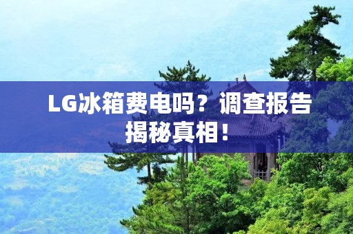  LG冰箱费电吗？调查报告揭秘真相！