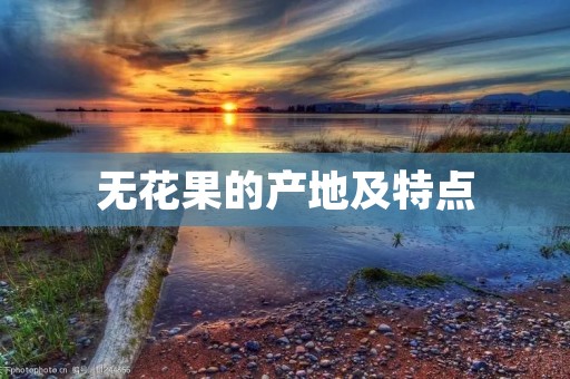 无花果的产地及特点