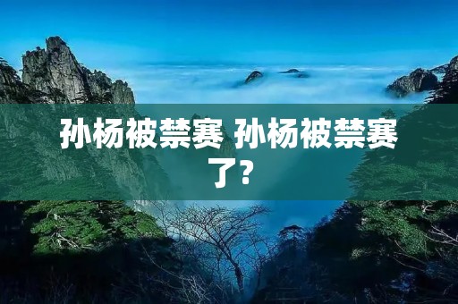孙杨被禁赛 孙杨被禁赛了? 孙杨被禁赛 孙杨被禁赛了?