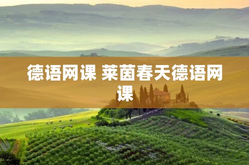 德语网课 莱茵春天德语网课 德语网课 莱茵春天德语网课