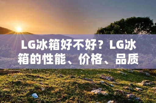 LG冰箱好不好？LG冰箱的性能、价格、品质怎么样？