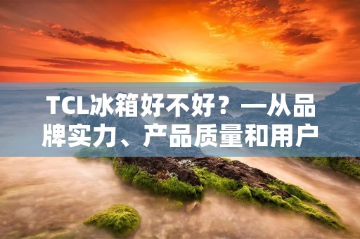 TCL冰箱好不好？—从品牌实力、产品质量和用户评价来看