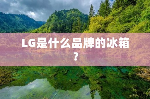 LG是什么品牌的冰箱？
