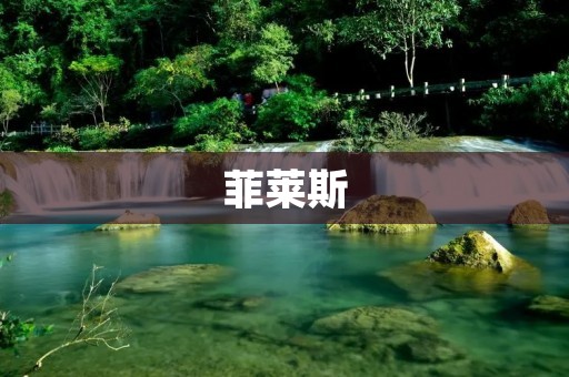 菲莱斯:引领时尚潮流的新生代品牌 菲莱斯:引领时尚潮流的新生代品牌