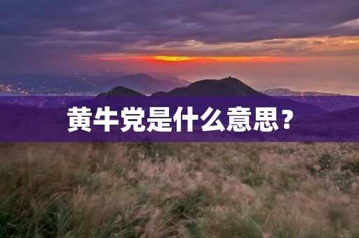 黄牛党是什么意思？