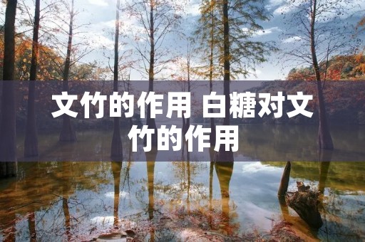 文竹的作用 白糖对文竹的作用