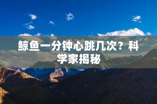 鲸鱼一分钟心跳几次？科学家揭秘