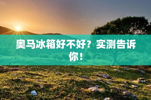 奥马冰箱好不好？实测告诉你！