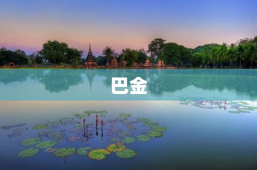 巴金:中国现代文学** 巴金:中国现代文学**