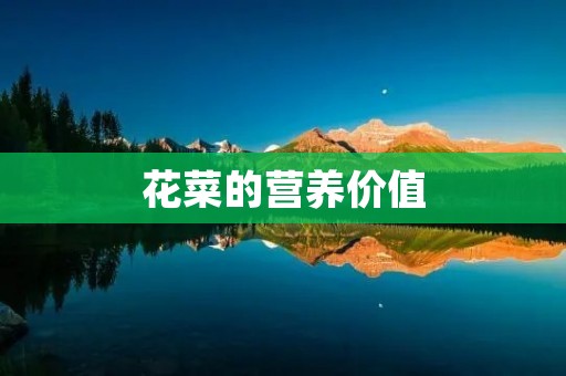 花菜的营养价值