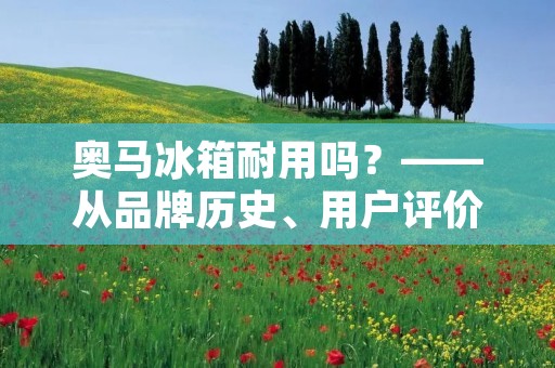 奥马冰箱耐用吗？——从品牌历史、用户评价和产品质量三方面探讨