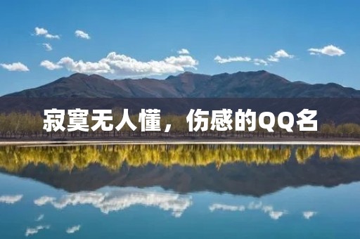 寂寞无人懂,伤感的QQ名