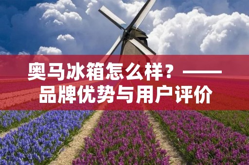 奥马冰箱怎么样？——品牌优势与用户评价
