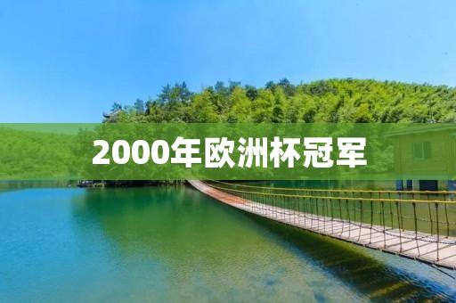 2000年欧洲杯冠军：法国队的辉煌时刻