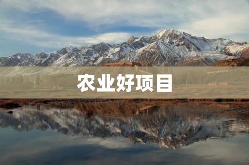 农业好项目：发展有机农业