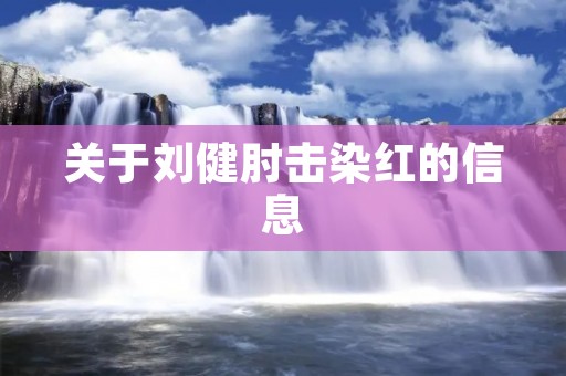 关于刘健肘击染红的信息