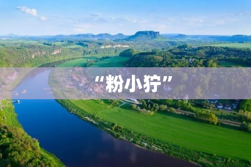 “粉小狞”：一个火遍网络的网红角色