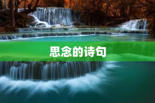 思念的诗句