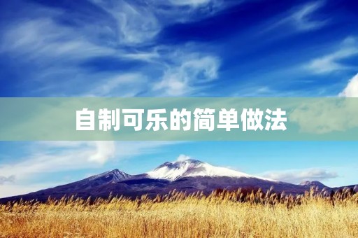 自制可乐的简单做法 自制可乐的简单做法