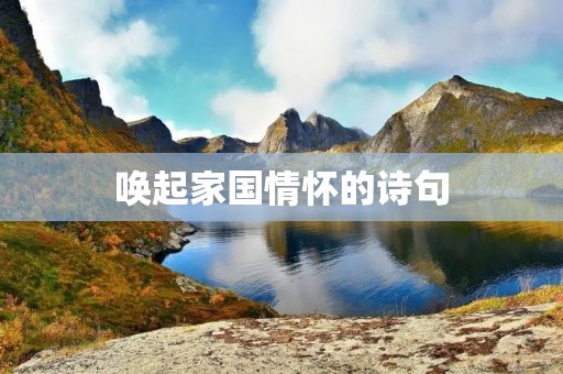 唤起家国情怀的诗句
