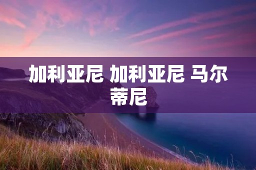 加利亚尼 加利亚尼 马尔蒂尼