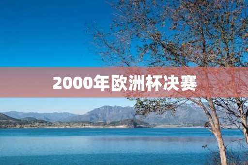 2000年欧洲杯决赛：法国夺冠写下历史