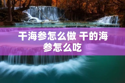 干海参怎么做 干的海参怎么吃 干海参怎么做 干的海参怎么吃