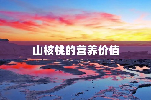 山核桃的营养价值