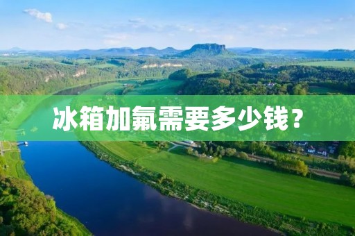 冰箱加氟需要多少钱？