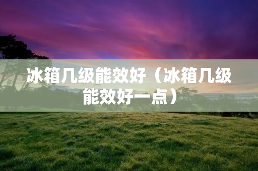 冰箱几级能效好（冰箱几级能效好一点）